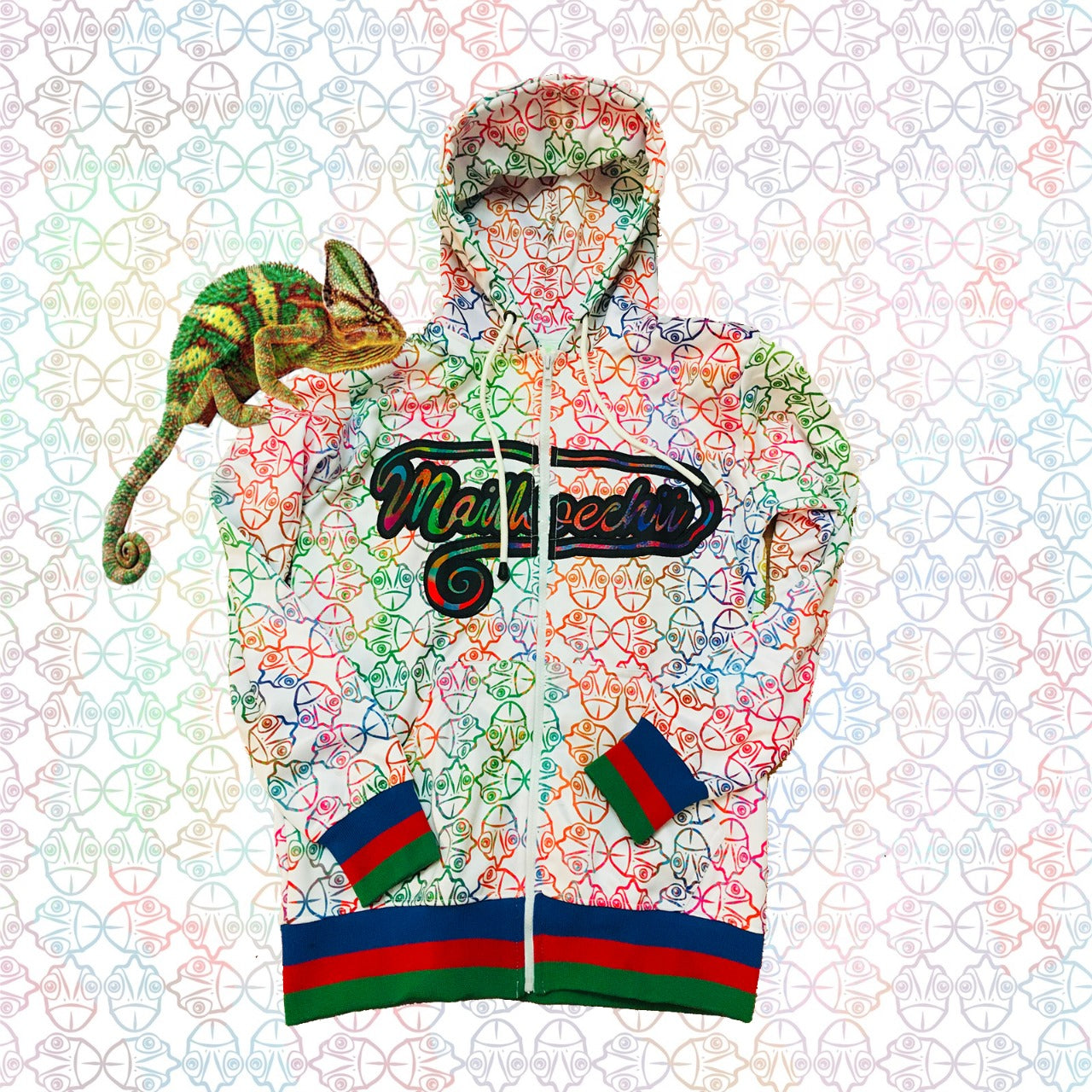 Mailloechii Adaptation ColorChange Hoody Daytime Collection